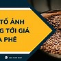 Giá Cà Phê Di Linh Lâm Đồng Ngày Hôm Nay