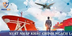 Xuất Khẩu Chính Ngạch Và Tiểu Ngạch