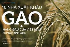 Xuất Khẩu Gạo Cuối Năm 2022 Của Việt Nam Pdf Download Free